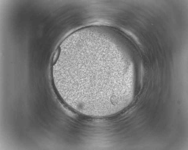 X0000068721375200605192242