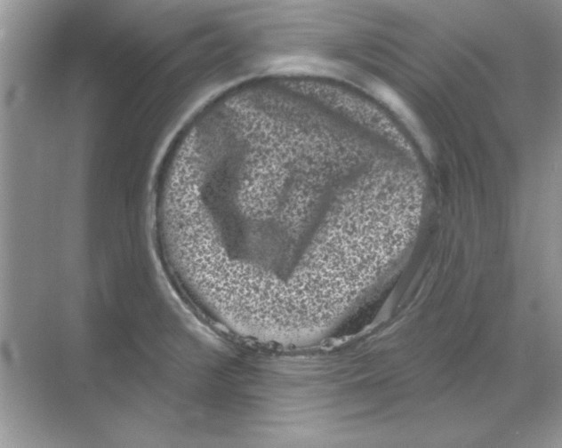 X0000068721376200605192242