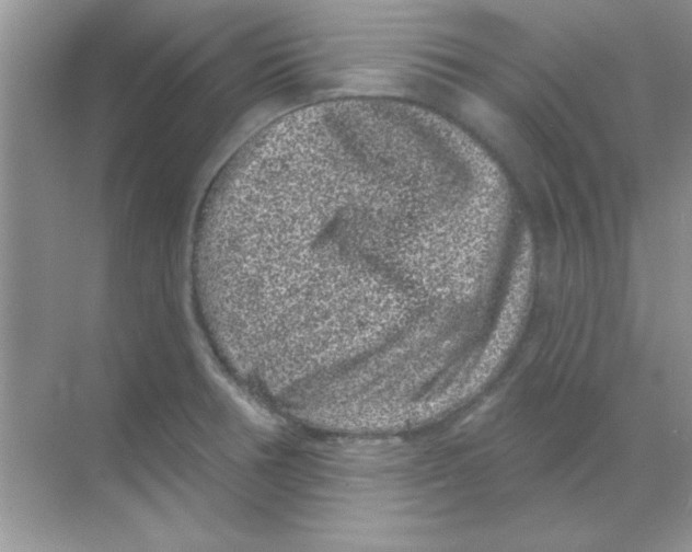 X0000068721378200605192242