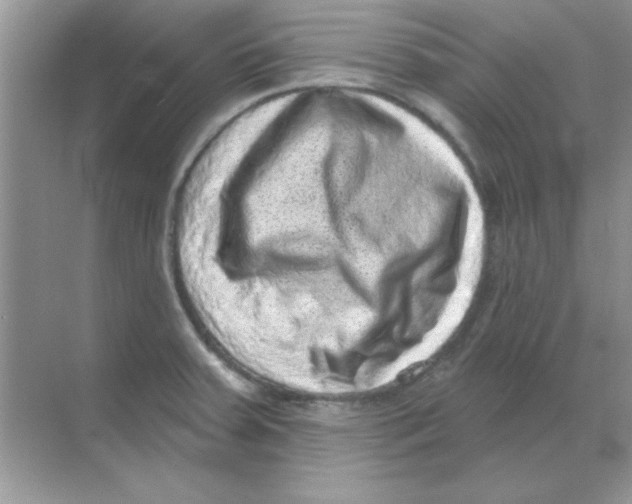 X0000068721379200605192242