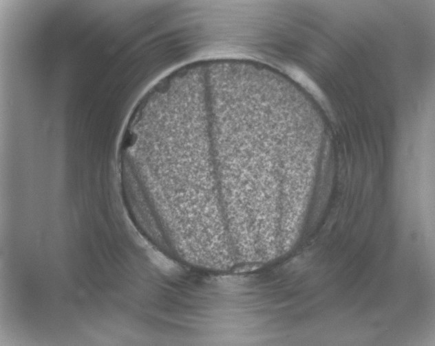 X0000068721380200605192242