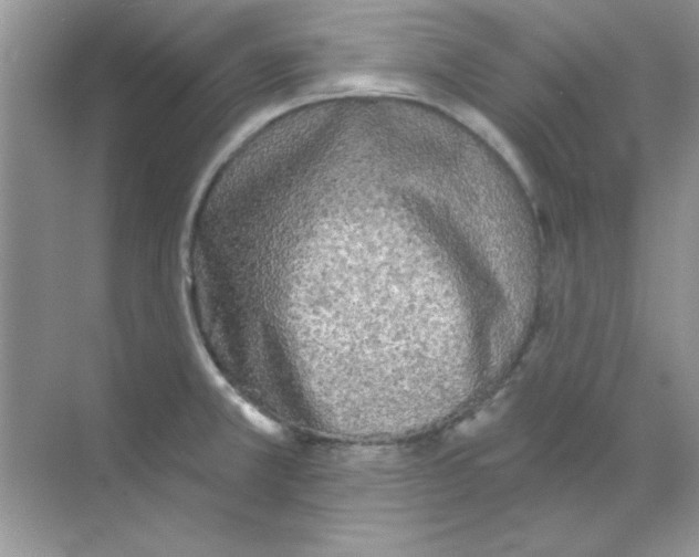 X0000068721381200605192242