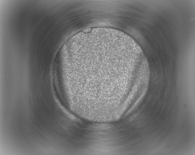 X0000068721382200605192242