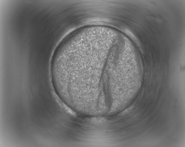 X0000068721384200605192242