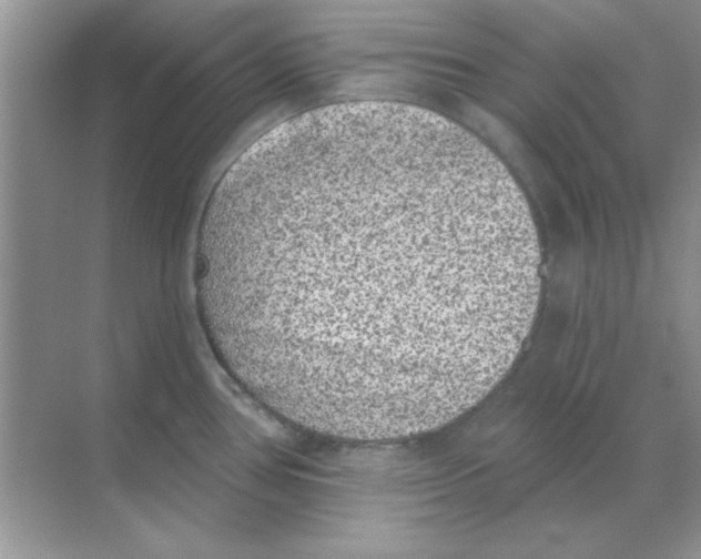 X0000068721386200605192242