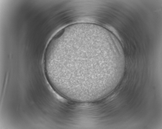 X0000068721387200605192242