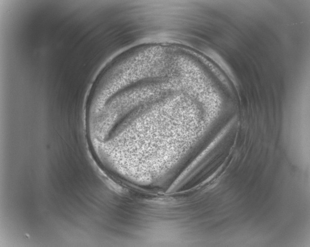 X0000068721388200605192242