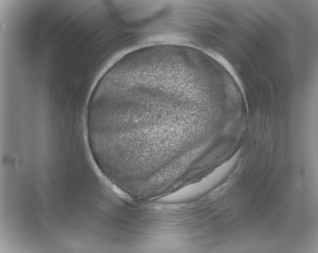 X0000068721389200605192242