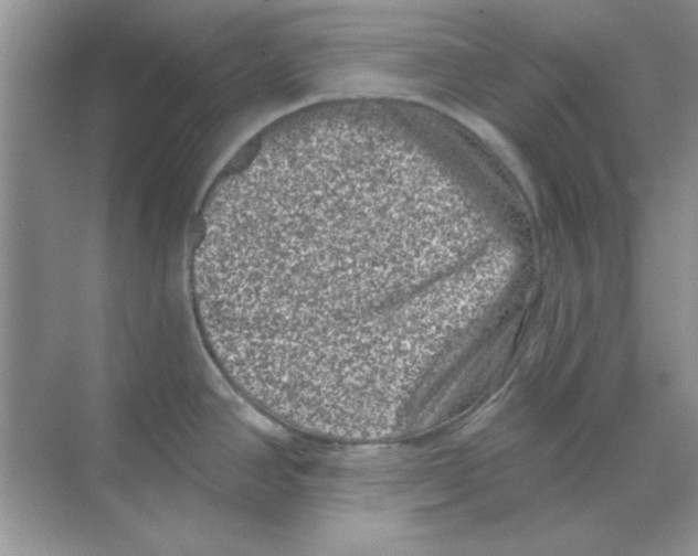 X0000068721390200605192242