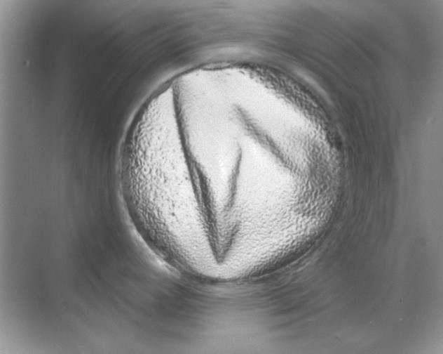 X0000068721392200605192242