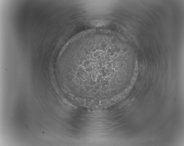 X0000068721393200605192241