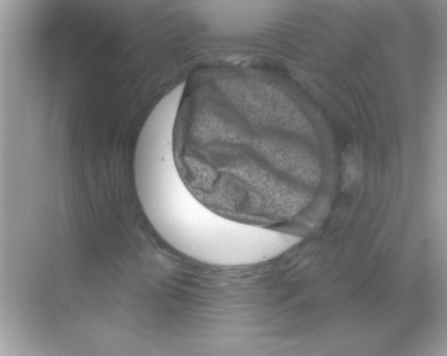 X0000068721394200605192241