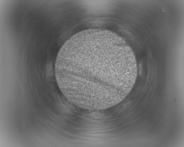 X0000068721395200605192241