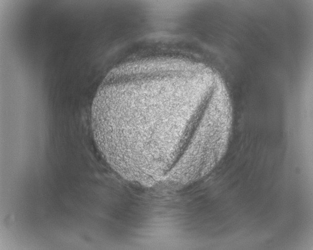 X0000068721397200605192241