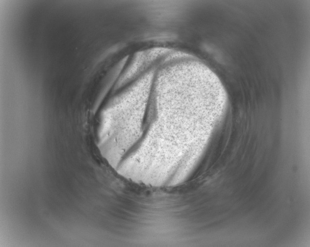 X0000068721398200605192241