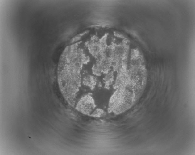 X0000068721399200605192241