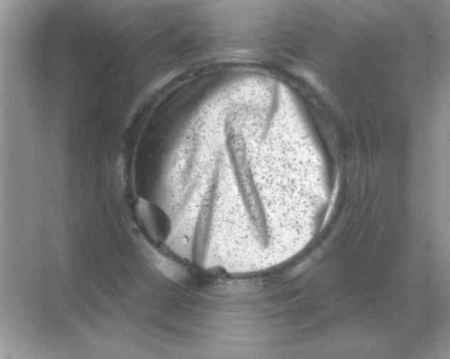 X0000068721402200605192241