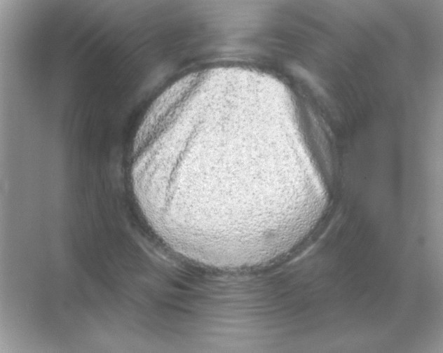 X0000068721403200605192241