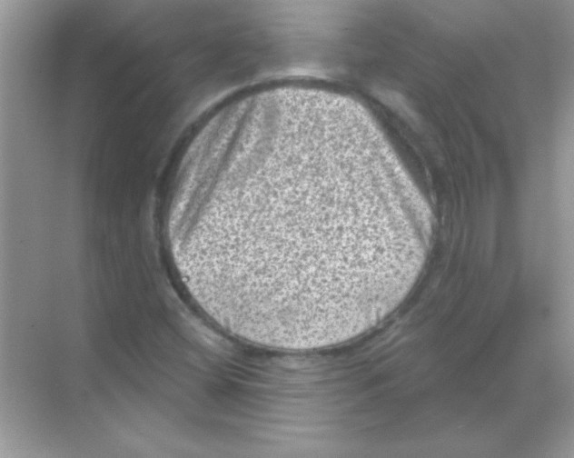 X0000068721404200605192241