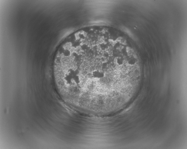 X0000068721405200605192241