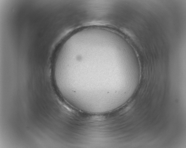 X0000068721406200605192241