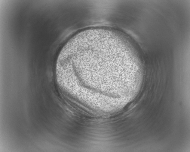 X0000068721407200605192241