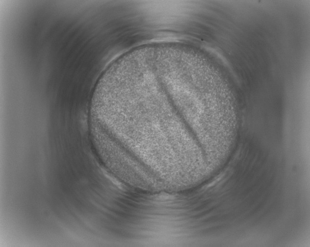 X0000068721409200605192241