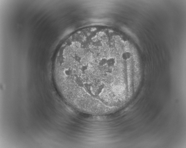 X0000068721411200605192241