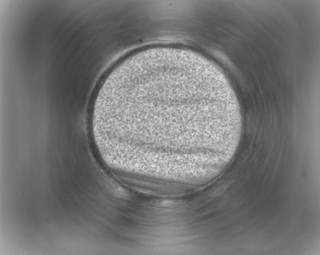 X0000068721412200605192241