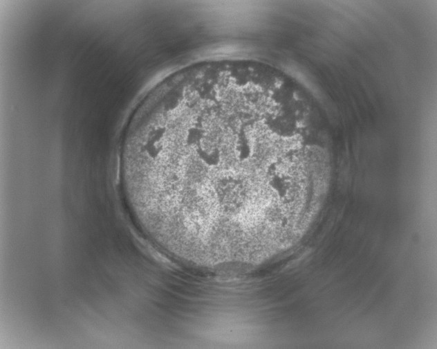 X0000068721413200605192241