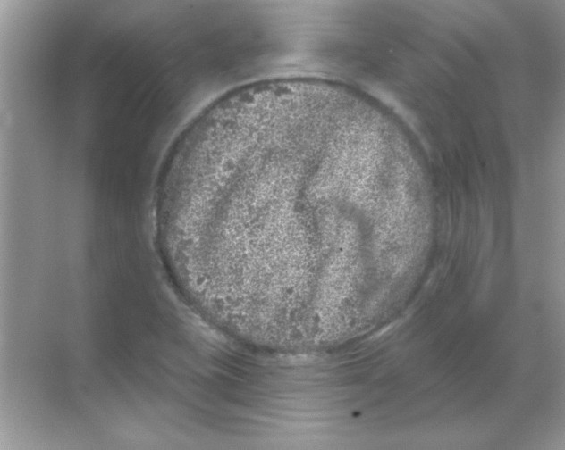 X0000068721415200605192241