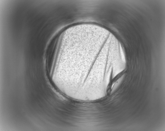 X0000068721416200605192241