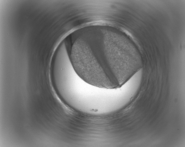 X0000068721418200605192241