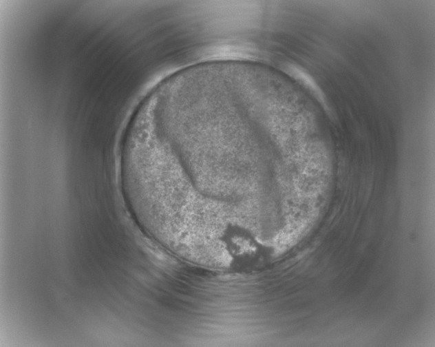 X0000068721419200605192241