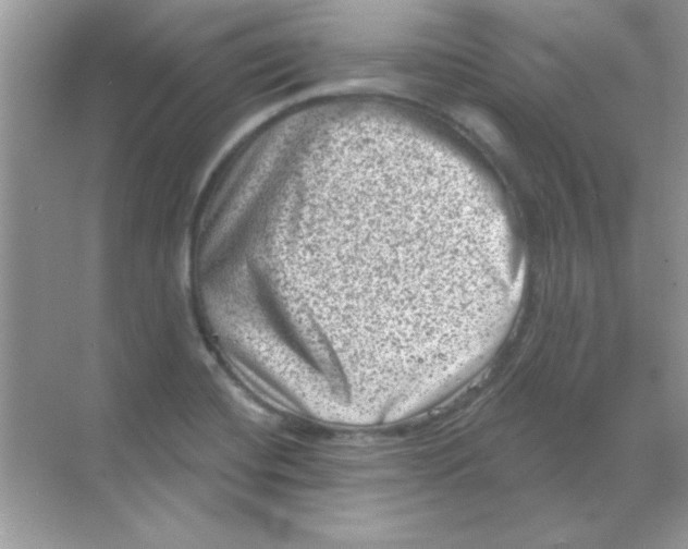 X0000068721420200605192241