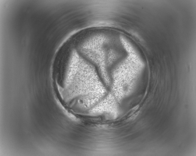 X0000068721422200605192241