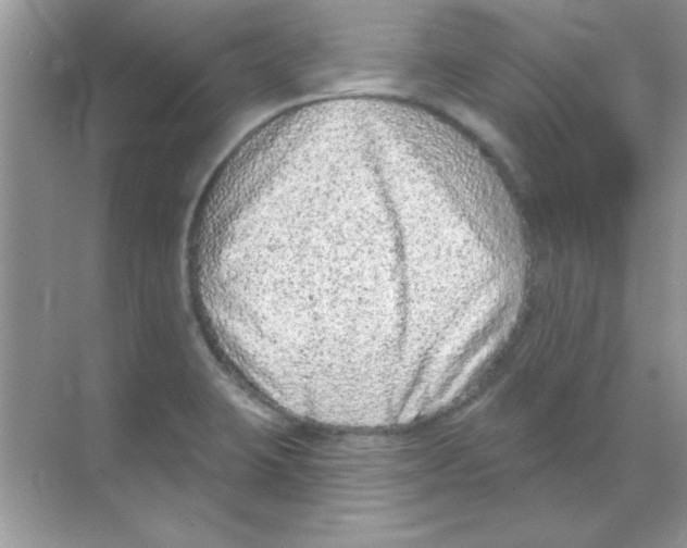 X0000068721423200605192241