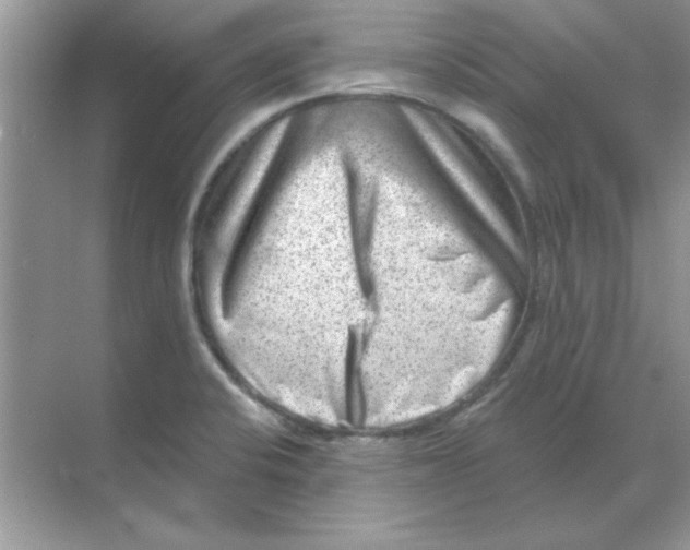 X0000068721424200605192241