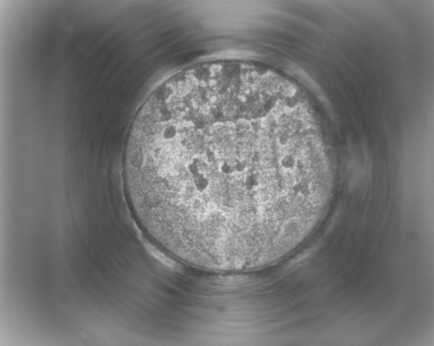 X0000068721425200605192241