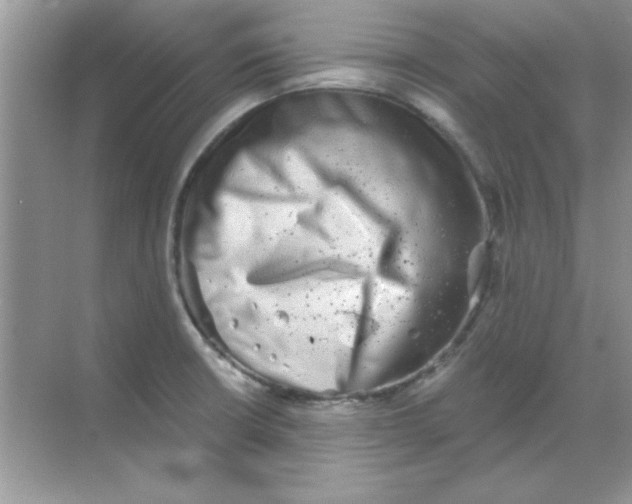 X0000068721426200605192242