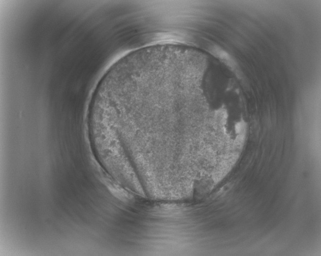 X0000068721427200605192242