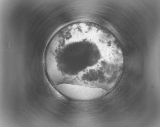 X0000068721428200605192242