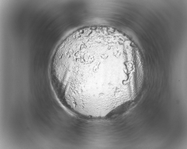 X0000068721429200605192242