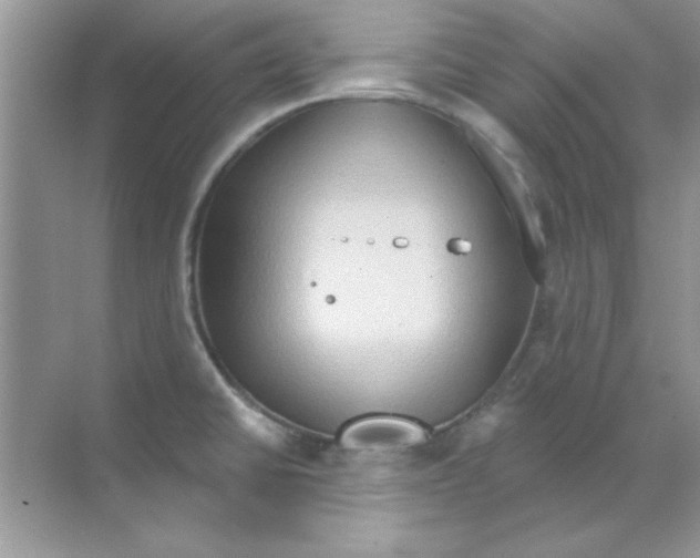 X0000068721430200605192242