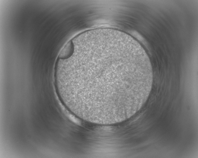 X0000068721431200605192242