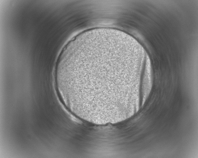 X0000068721432200605192242