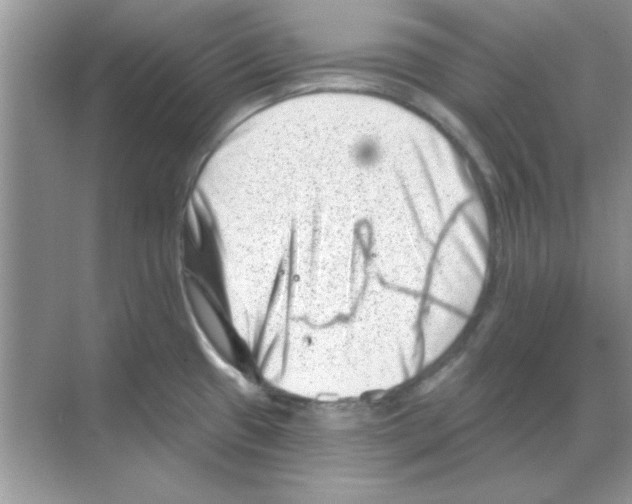 X0000068721433200605192242