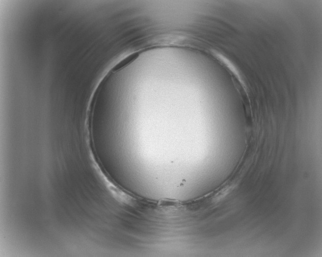 X0000068721434200605192242