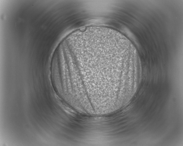 X0000068721435200605192242