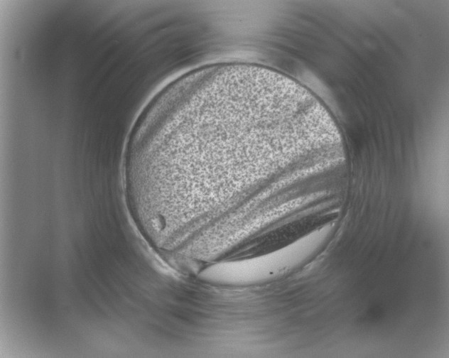 X0000068721436200605192242